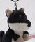 ◆NICI キーリンクBB クロシバ