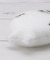 ◆キラキラ おそうじスポンジ アザラシ