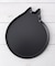 AMI DISH cat M