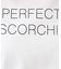 【ユニセックス／接触冷感／抗菌防臭／洗える】アイスクリアコットンロゴTシャツ