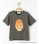 【小学館の図鑑NEO　コラボ】恐竜Tシャツ