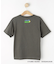 【小学館の図鑑NEO　コラボ】恐竜Tシャツ