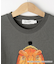 【小学館の図鑑NEO　コラボ】恐竜Tシャツ