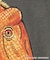 【小学館の図鑑NEO　コラボ】恐竜Tシャツ