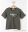 【小学館の図鑑NEO　コラボ】恐竜Tシャツ