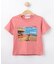 【洗える】オーガニックコットン フォトTシャツ