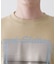 グラフィックTシャツ