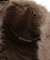 2WAYシャギーフェイクファーバッグ