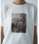 グラフィックTシャツ