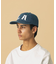 DESERT DENIM CAP