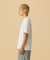 FOUNTAIN OF TRUTH S/S TEE