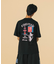 FOUNTAIN OF TRUTH S/S TEE