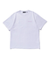 FOUNTAIN OF TRUTH S/S TEE