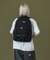 STANDARD LOGO TRUCK HOOK BACKPACK