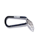 STANDARD LOGO KEYRING CARABINER