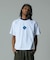 COLOR SCHEME RAGLAN S/S TEE