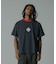 COLOR SCHEME RAGLAN S/S TEE