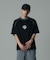 COLOR SCHEME RAGLAN S/S TEE