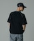 COLOR SCHEME RAGLAN S/S TEE