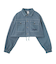 2WAY CROPPED JACKET
