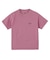 PIGMENT DISTRESSED CIRCLE LOGO S/S TEE