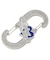 PLANET HEART LOGO CARABINER