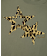 LEOPARD STAR L/S BABY TEE