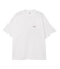 SPRAY FACE S/S BIG TEE DRESS