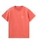 FADED MESSAGE AND SCRIPT LOGO S/S TEE