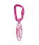 OVAL LOGO CARABINER