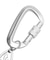 OVAL LOGO CARABINER