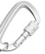 OVAL LOGO CARABINER