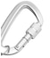 OVAL LOGO CARABINER