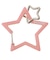 NEO STAR CARABINER
