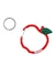 APPLE CARABINER