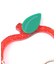 GLITTER APPLE CARABINER RED