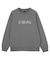 TABLET LOGO RAGLAN SWEATSHIRT