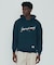 METAL HOODIE