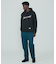METAL HOODIE