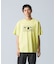 POLYSTYRENE S/S TEE