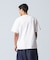 POLYSTYRENE S/S TEE