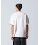POLYSTYRENE S/S TEE