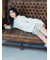 【WEB限定/ボアコレクション】ロゴモチーフスウェット