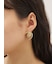フルーツピアス