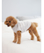【CAT&DOG】【販路限定商品】ベビモコネップdogプルオーバー