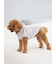 【CAT&DOG】【販路限定商品】ベビモコネップdogプルオーバー