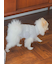 【CAT&DOG】【販路限定商品】ベビモコネップdogプルオーバー