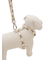 【CAT&DOG】【販路限定商品】モチーフ柄リード