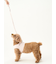 【CAT&DOG】【販路限定商品】リード