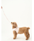 【CAT&DOG】【販路限定商品】リード